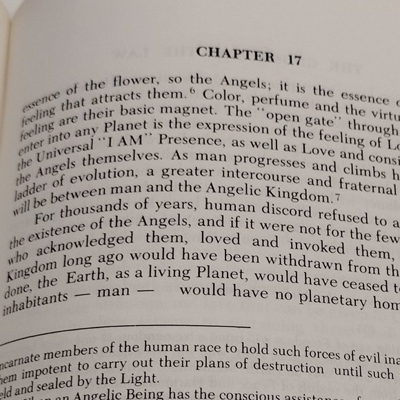 The Gnosis and the Law - Picture 13 of 16